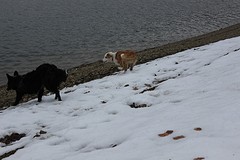 IMG_5190