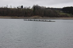 IMG_5192