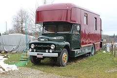 IMG_5195