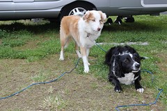 IMG_6346