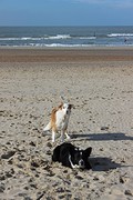 IMG_6817