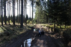 IMG_6854