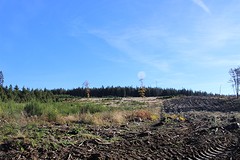 IMG_6855