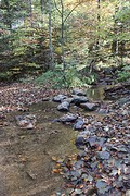 IMG_6856