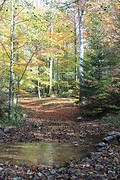 IMG_6858