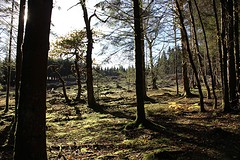 IMG_6859