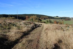 IMG_6861