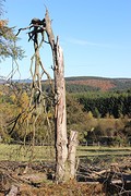 IMG_6865