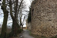 IMG_7021