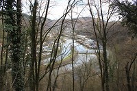 IMG_7029