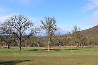 IMG_7058