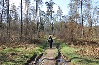 IMG_7203