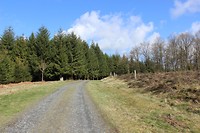 IMG_7204