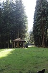 IMG_7208