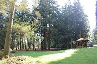 IMG_7209