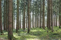 IMG_7210