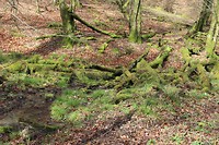 IMG_7211