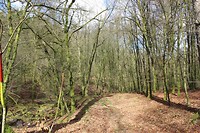 IMG_7212