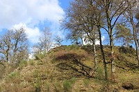 IMG_7219