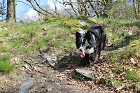 IMG_7226