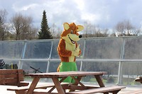 IMG_7229