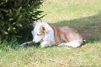 IMG_7232
