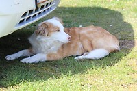 IMG_7234
