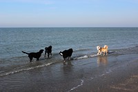 IMG_0016