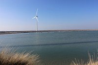 IMG_0021