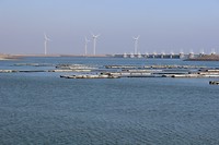 IMG_0026