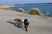 IMG_0029