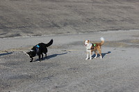 IMG_0032