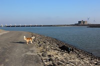 IMG_0035
