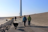 IMG_0036