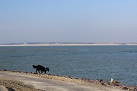IMG_0037