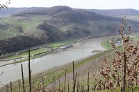 IMG_0210