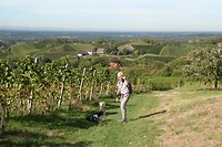 IMG_3339