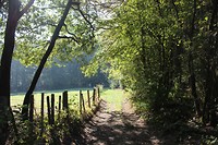 IMG_1662