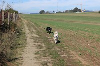 IMG_1663