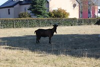 IMG_1665