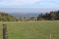 IMG_1666