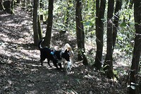 IMG_1667