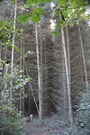 IMG_1668