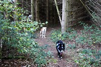 IMG_1669bis
