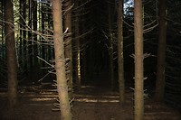 IMG_1670