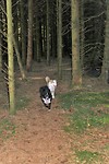 IMG_1671bis