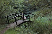IMG_1672bis