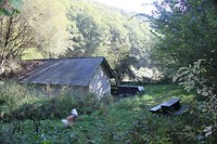IMG_1677