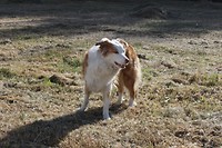 IMG_2073