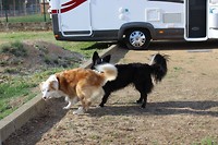 IMG_2074